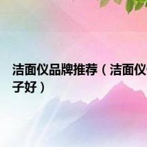 洁面仪品牌推荐(洁面仪什么牌子好)