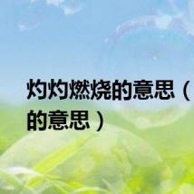 灼灼燃烧的意思（燃烧的意思）