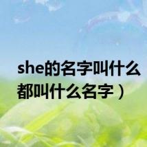 she的名字叫什么(she都叫什么名字)