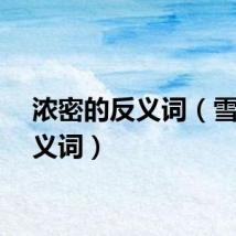 浓密的反义词（雪的反义词）