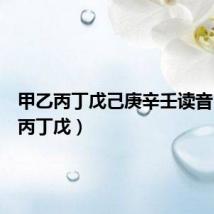 甲乙丙丁戊己庚辛壬读音(甲乙丙丁戊)