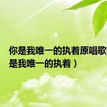 你是我唯一的执着原唱歌曲(你是我唯一的执着)