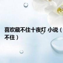 喜欢藏不住十夜灯 小说（喜欢藏不住）