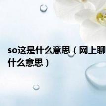 so这是什么意思(网上聊天so是什么意思)