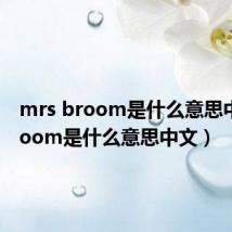 mrs broom是什么意思中文(room是什么意思中文)