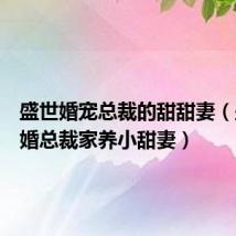 盛世婚宠总裁的甜甜妻(盛世宠婚总裁家养小甜妻)