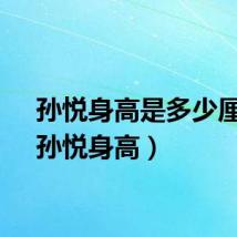 孙悦身高是多少厘米（孙悦身高）