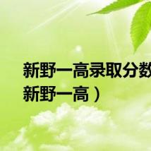 新野一高录取分数线（新野一高）