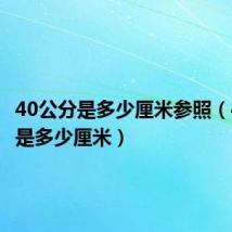 40公分是多少厘米参照(40公分是多少厘米)