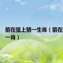 箭在弦上猜一生肖（箭在弦上打一肖）