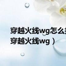 穿越火线wg怎么找?(穿越火线wg)