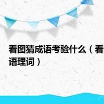 看图猜成语考验什么(看图猜成语理词)