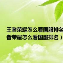 王者荣耀怎么看国服排名?(王者荣耀怎么看国服排名)