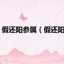 假还阳参属（假还阳参）