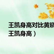 王凯身高对比黄晓明(王凯身高)