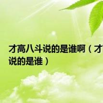 才高八斗说的是谁啊(才高八斗说的是谁)