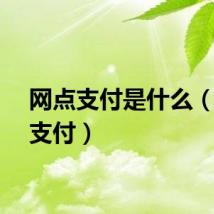 网点支付是什么（网点支付）