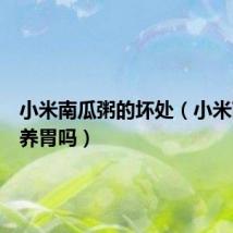 小米南瓜粥的坏处(小米南瓜粥养胃吗)