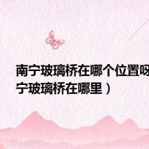 南宁玻璃桥在哪个位置呀?(南宁玻璃桥在哪里)