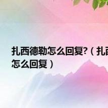 扎西德勒怎么回复?(扎西德勒怎么回复)