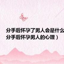 分手后怀孕了男人会是什么反应(分手后怀孕男人的心理)