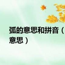 弧的意思和拼音（弧的意思）