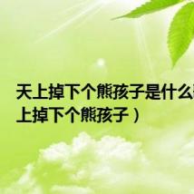天上掉下个熊孩子是什么歌(天上掉下个熊孩子)