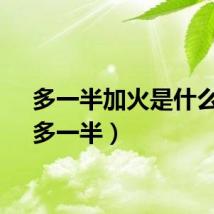多一半加火是什么字（多一半）
