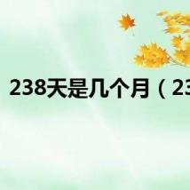 238天是几个月(238)