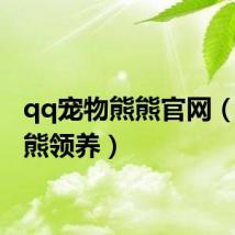 qq宠物熊熊官网(qq熊熊领养)