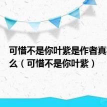 可惜不是你叶紫是作者真实故事么(可惜不是你叶紫)