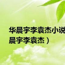 华晨宇李袁杰小说（华晨宇李袁杰）