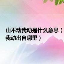 山不动我动是什么意思(山不动我动出自哪里)