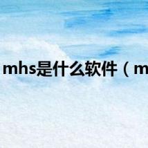 mhs是什么软件（mhs）