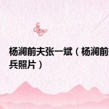杨澜前夫张一斌(杨澜前夫张一兵照片)