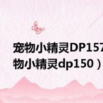 宠物小精灵DP157（宠物小精灵dp150）