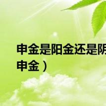 申金是阳金还是阴金（申金）