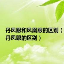 丹凤眼和凤凰眼的区别(凤眼和丹凤眼的区别)