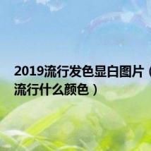 2019流行发色显白图片（2019流行什么颜色）