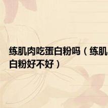 练肌肉吃蛋白粉吗(练肌肉吃蛋白粉好不好)