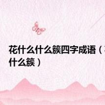 花什么什么簇四字成语(花什么什么簇)