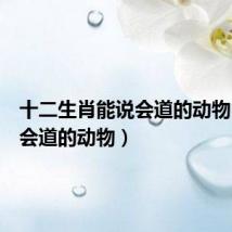 十二生肖能说会道的动物（能说会道的动物）