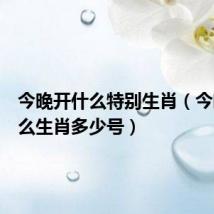 今晚开什么特别生肖(今晚开什么生肖多少号)