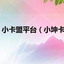 小卡盟平台（小坤卡盟）