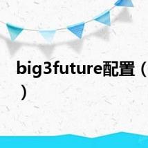 big3future配置(big3)