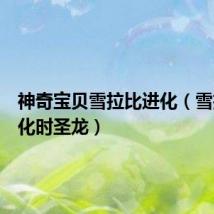 神奇宝贝雪拉比进化（雪拉比进化时圣龙）