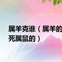 属羊克谁（属羊的能克死属鼠的）