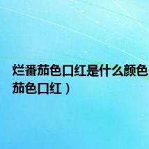 烂番茄色口红是什么颜色(烂番茄色口红)