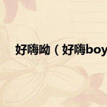 好嗨呦（好嗨boy）