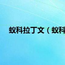 蚁科拉丁文（蚁科）